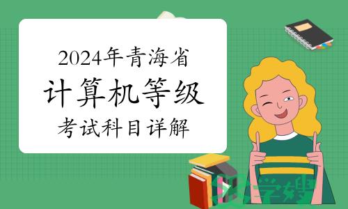 2024年上半年青海省计算机等级考试科目详解