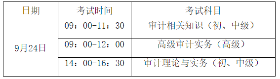 审计专业技术资格考试