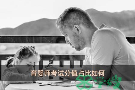 育婴师考试分值占比如何