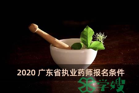 2020广东省执业药师报名条件