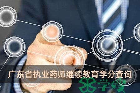 广东省执业药师继续教育学分查询