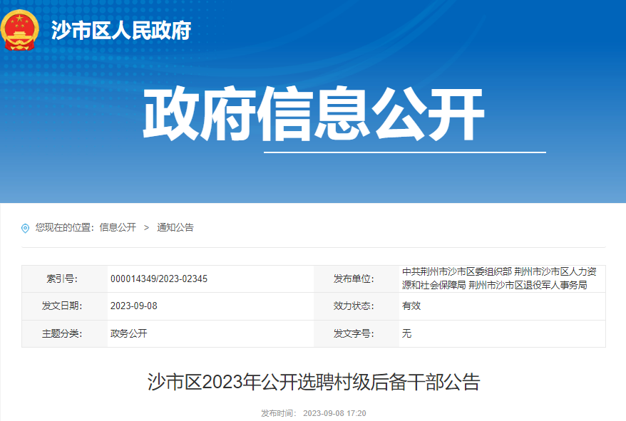 2023年湖北荆州市沙市区公开选聘村级后备干部公告[9月18日-22日报名]