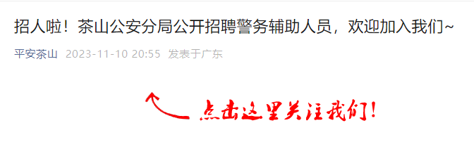 2023年广东东莞茶山公安分局招聘警务辅助人员公告（9人）