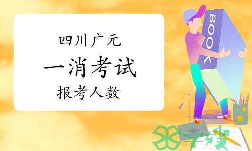 2023年四川广元一级消防工程师报考人数：220人