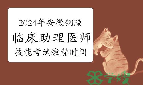 2024年安徽铜陵临床助理医师技能考试缴费时间及方式