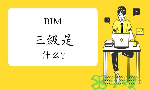 BIM三级是什么？