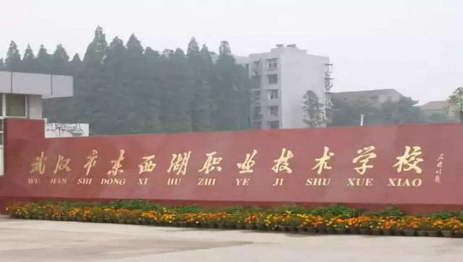 湖北中职学校.png