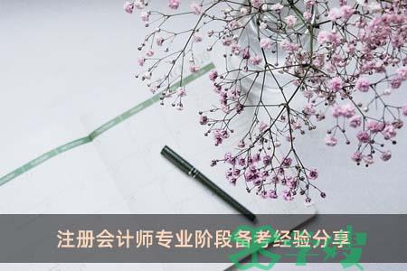 注册会计师专业阶段备考经验分享