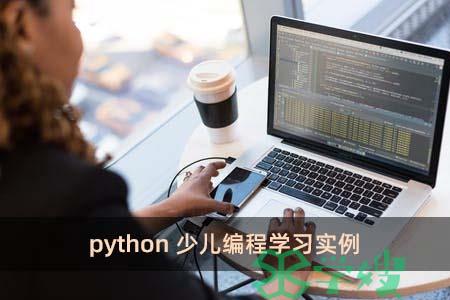 python少儿编程学习实例