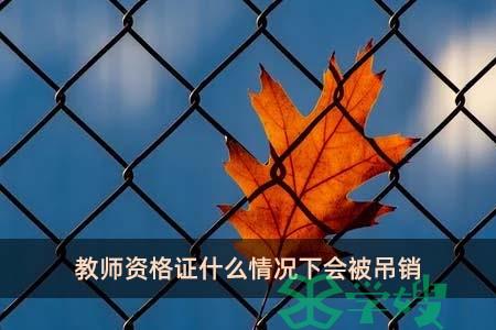 教师资格证什么情况下会被吊销