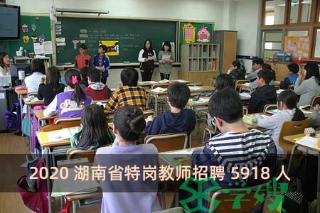 2020湖南省特岗教师招聘5918人