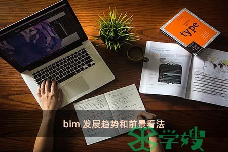 bim发展趋势和前景看法