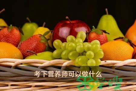 考下营养师可以做什么