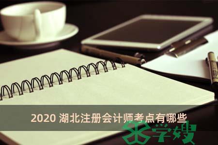 2020湖北注册会计师考点有哪些