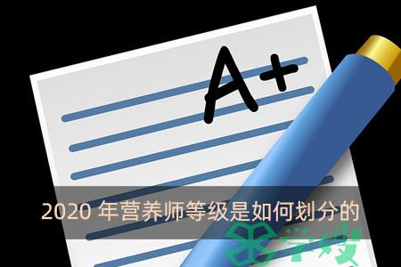 2020年营养师等级是如何划分的