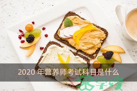 2020年营养师考试科目是什么