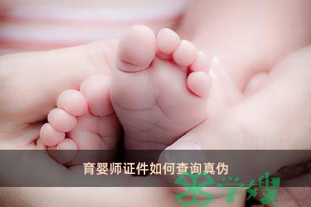 育婴师证件如何查询真伪