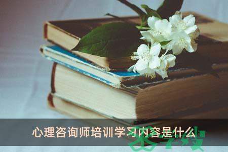 心理咨询师培训学习内容是什么