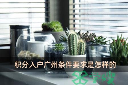 积分入户广州条件要求是怎样的？