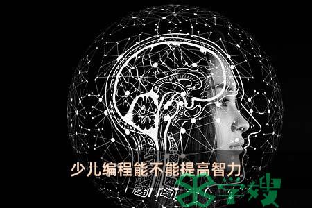 少儿编程能不能提高智力