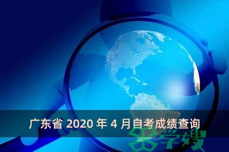 广东省2020年4月自考成绩查询